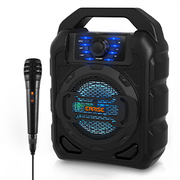 [Open Box] EARISE T15 Karaoke Machine with Wired Microphone for Kids & Adults